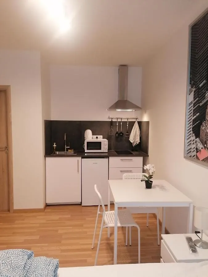 Studio Brand New Apartment #28 In New Building With Free Parking In City Center Praha